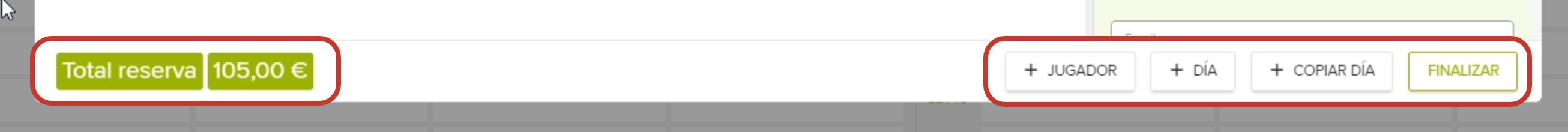 Reservar - casillas finales confirmar reserva (2).png