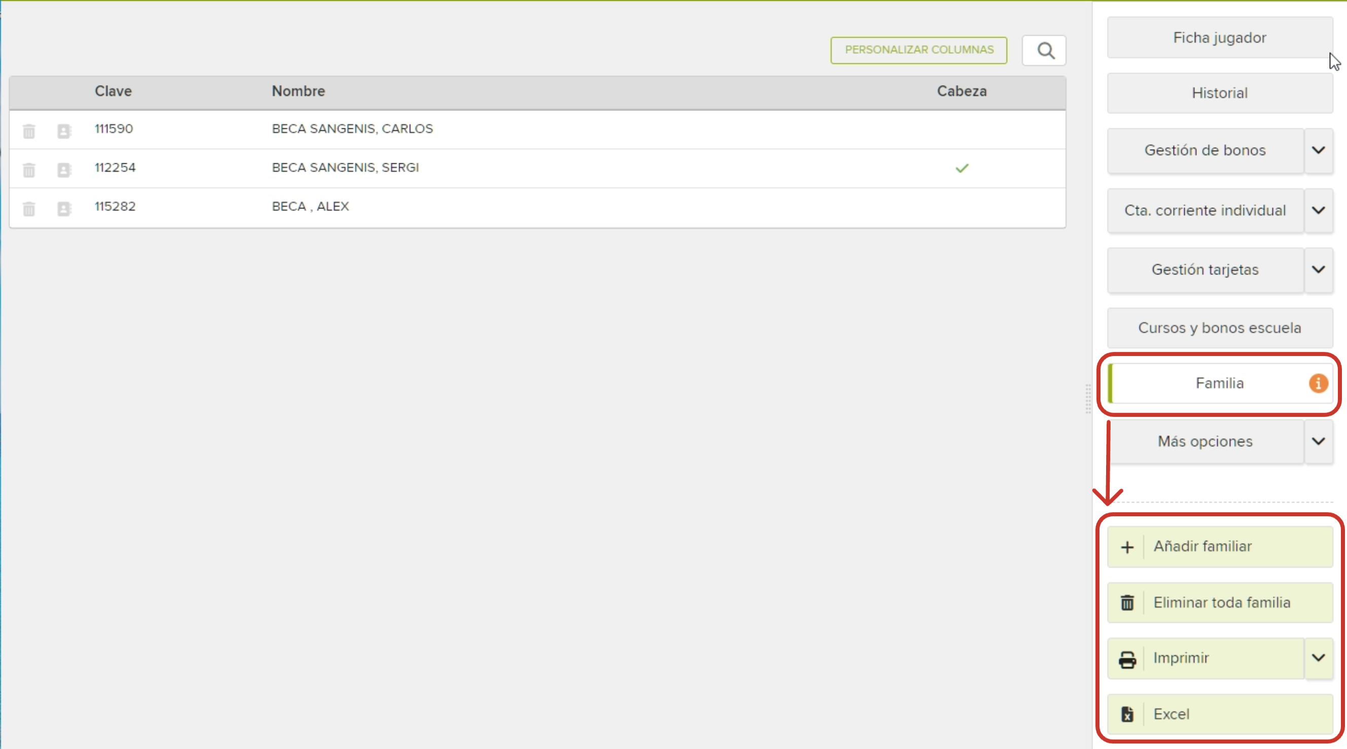 Player Family Management Interface.png